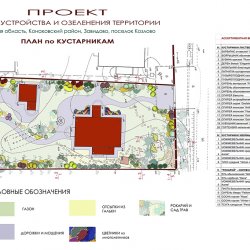 Ландшафтный проект участка -  ПЛАН по кустарникам